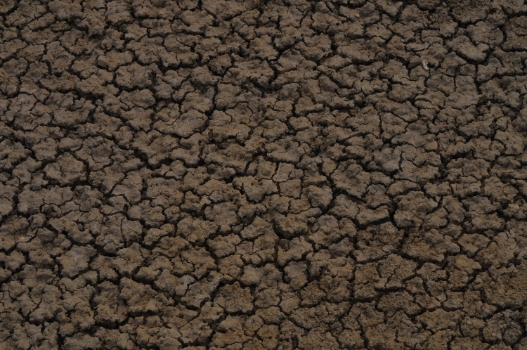 bisti wilderness